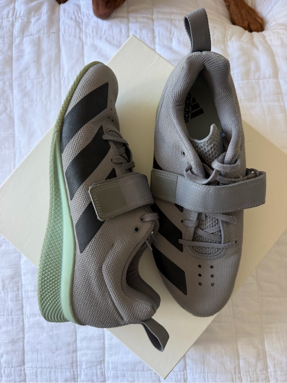 adidas men’s size 10 weightlifting shoes Gray and Green